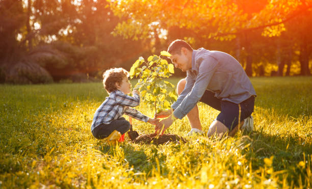 istock Father and son in planting tree under sun 1124742846