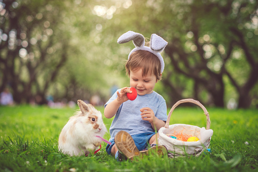 Happy little boy playing with bunny in park on Easter egg hunt