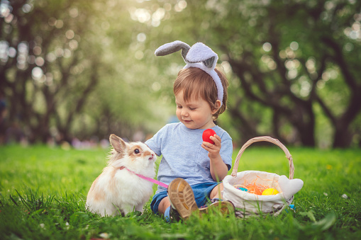 Happy little boy playing with bunny in park on Easter egg hunt