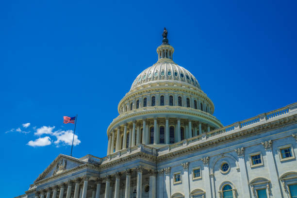 istock United States Capitol (United States Capitol) 1124752857