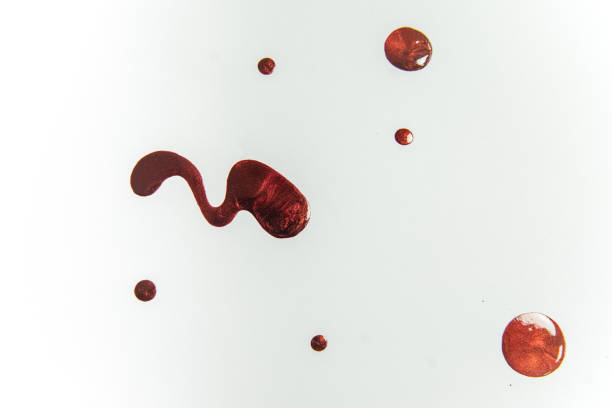 istock strokes and blots of paint on white background 1124753125