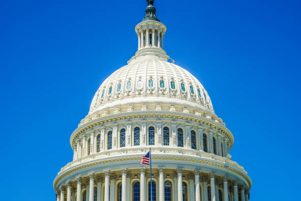 istock United States Capitol (United States Capitol) 1124753436