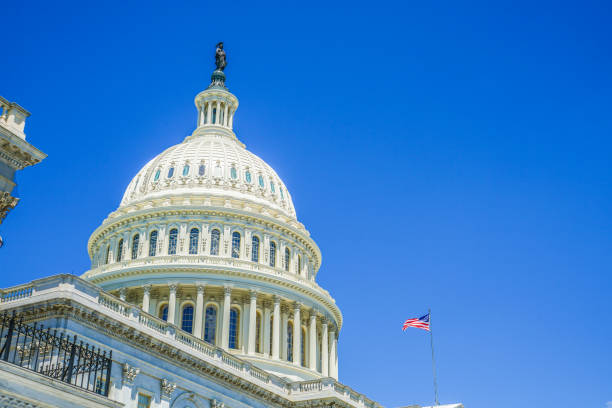 istock United States Capitol (United States Capitol) 1124755142