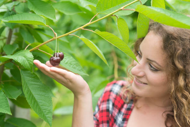 istock Young beautiful woman looking at fruit in orchard. 1124759048