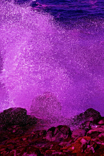Pantone color of Ultra Violet, pink, purple in Nature