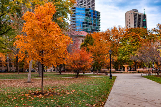 istock Washington Square Park in Chicago Walkway during Autumn 1124759560