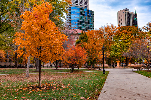 A walkway at Washington Square Park in Chicago with colorful trees during autumn