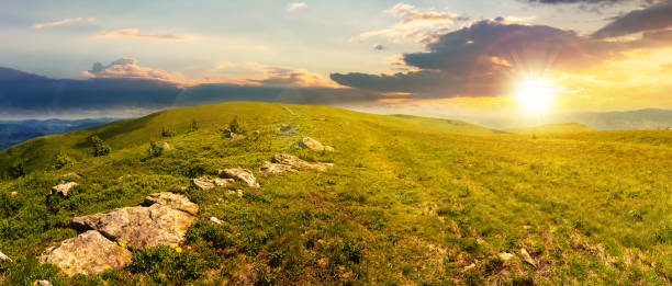 istock panorama of carpathian alpine meadows at sunset 1124759853