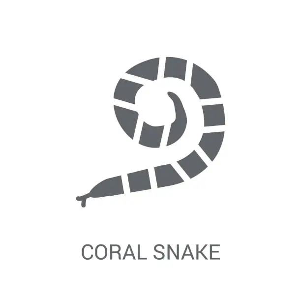 Vector illustration of coral snake icon. Trendy coral snake logo concept on white background from animals collection