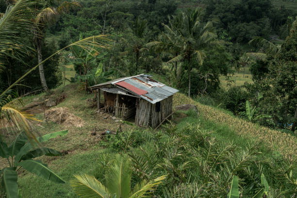 istock Island Paradise of Bali 1124763235