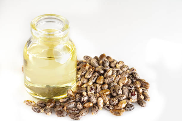 istock Castor oil and seeds isolated on white background, Ricinus communis. 1124766975