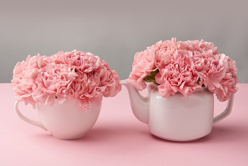 beautiful tender pink flowers in white teapot and cup on grey