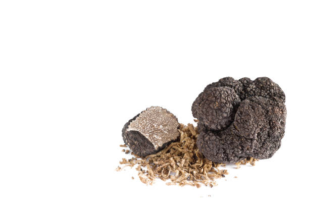 istock Black truffles mushroom isolated on a white background 1124777549