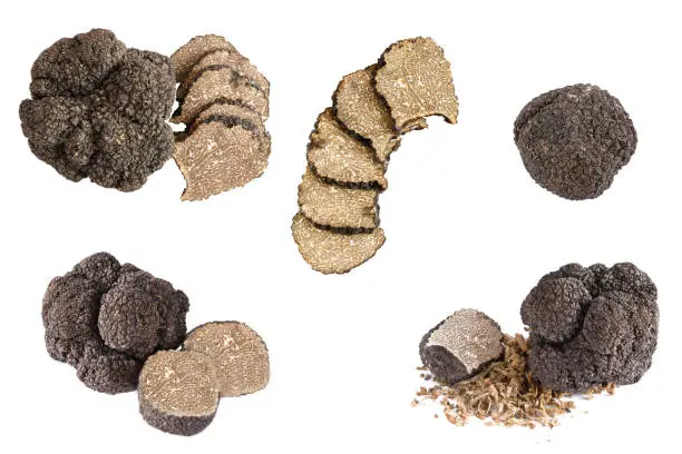 Photo of collection set with Black truffles mushroom isolated on a white background.
