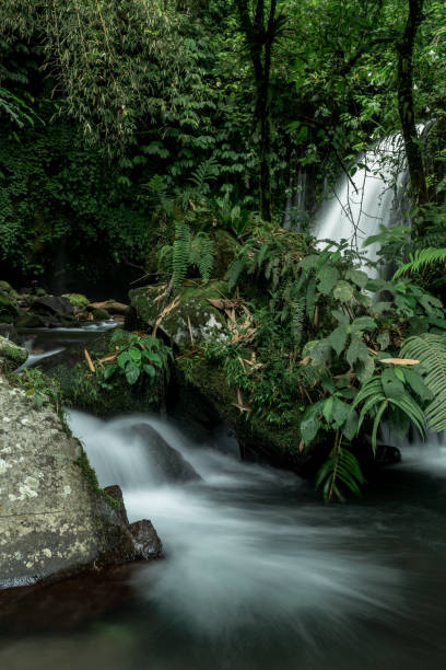 istock Island Paradise of Bali 1124778191