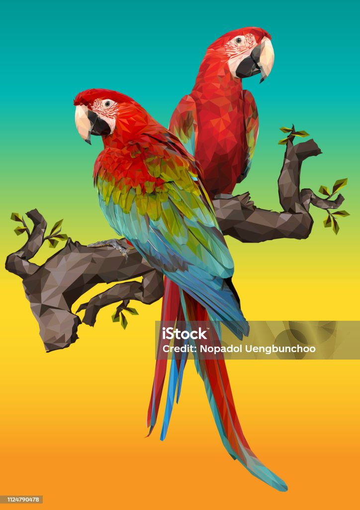 Ilustración de Ilustración De Dibujo De Aves Guacamaya De Ala Verde y más Vectores Libres de Derechos de Guacamayo - iStock Ilustración de Ilustración De Dibujo De Aves Guacamaya De Ala Verde y más Vectores Libres de Derechos de Guacamayo - iStock