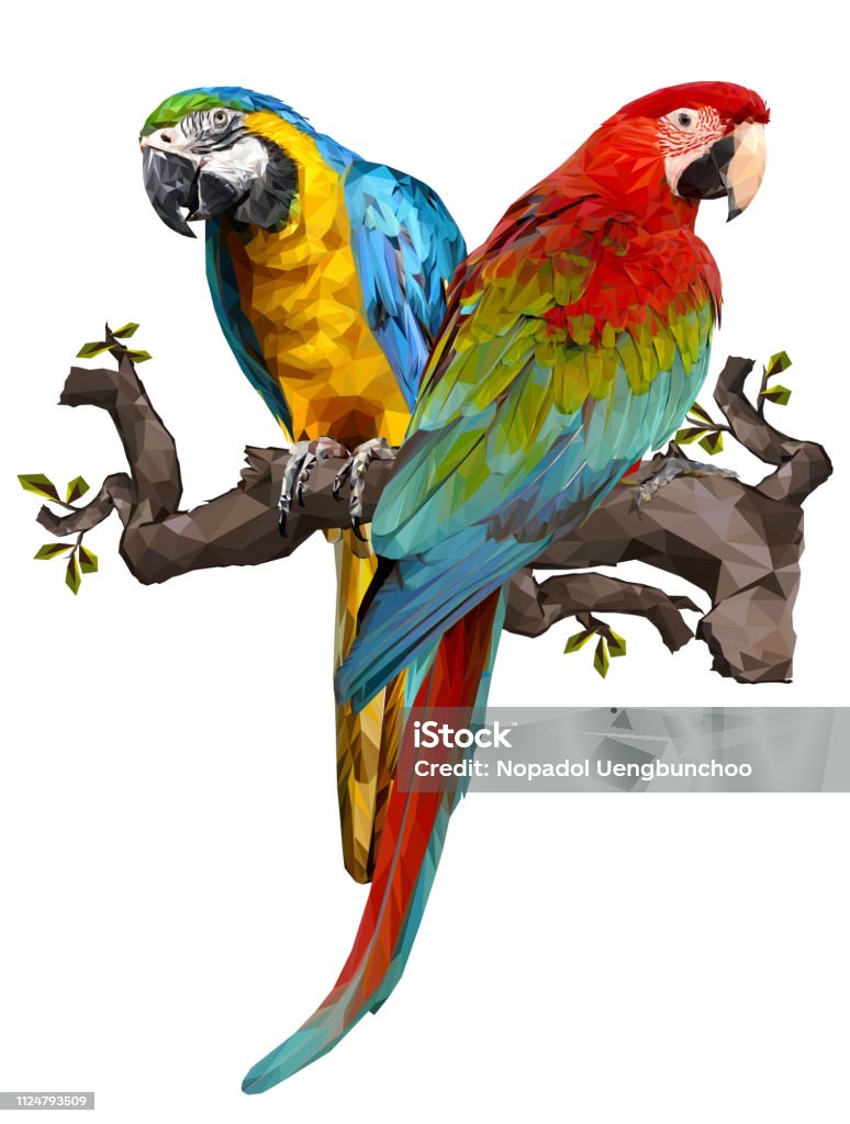 Ilustración de Ilustración De Dibujo De Aves Guacamaya De Ala Verde y más Vectores Libres de Derechos de Loro - iStock Ilustración de Ilustración De Dibujo De Aves Guacamaya De Ala Verde y más Vectores Libres de Derechos de Loro - iStock