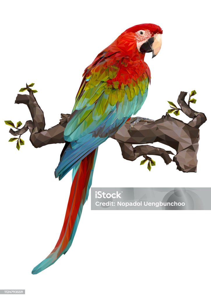 Ilustración de Ilustración De Dibujo De Guacamaya De Ala Verde y más Vectores Libres de Derechos de Guacamayo - Guacamayo, Abstracto, Ala de animal - iStock Ilustración de Ilustración De Dibujo De Guacamaya De Ala Verde y más Vectores Libres de Derechos de Guacamayo - Guacamayo, Abstracto, Ala de animal - iStock