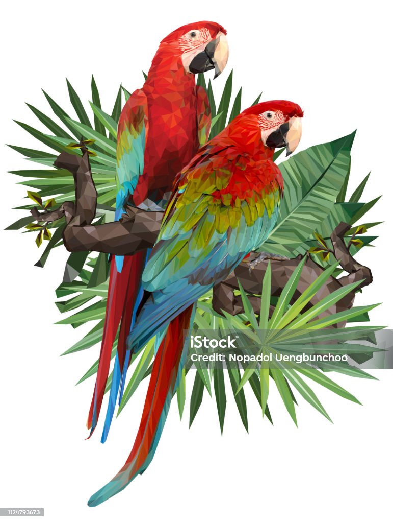 Ilustración de Ilustración De Dibujo De Aves Guacamaya De Ala Verde y más Vectores Libres de Derechos de Guacamayo - iStock Ilustración de Ilustración De Dibujo De Aves Guacamaya De Ala Verde y más Vectores Libres de Derechos de Guacamayo - iStock