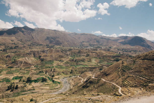 istock colca canyon in turkey - plantations 1124793696
