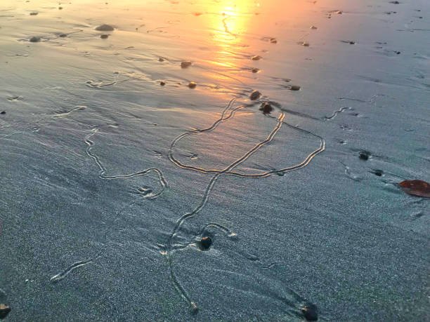 コスタリカの夕日 - pacific ocean tourist resort day reflection ストックフォトと画像