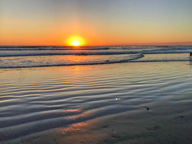 コスタリカの夕日 - pacific ocean tourist resort day reflection ストックフォトと画像