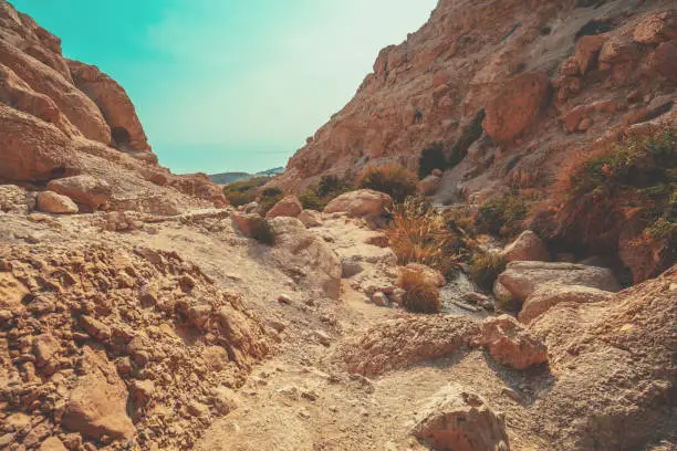 Photo of Hiking path in the nature reserve Ein Gedi. Israel. Oasis in the desert