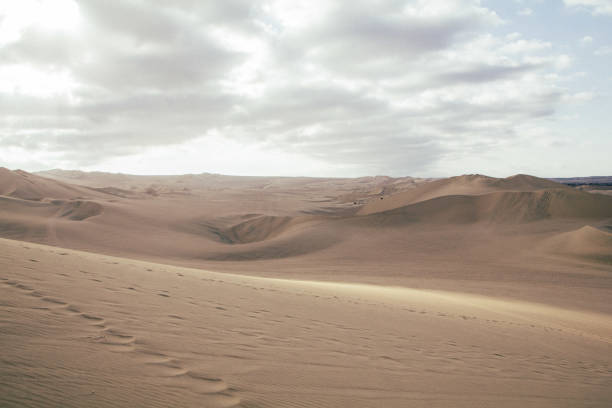 huacachina desert and oasis, south coast of peru, south america