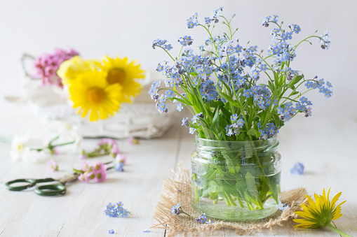Forget me not in jar