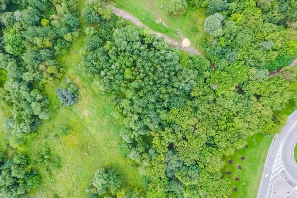 istock Suburban park and glade. Suburban landscape suburbs. 1124813206
