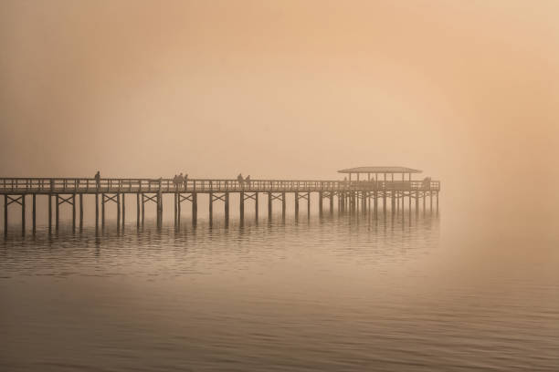 istock Pier in Safety Harbor, Florida 1124816804