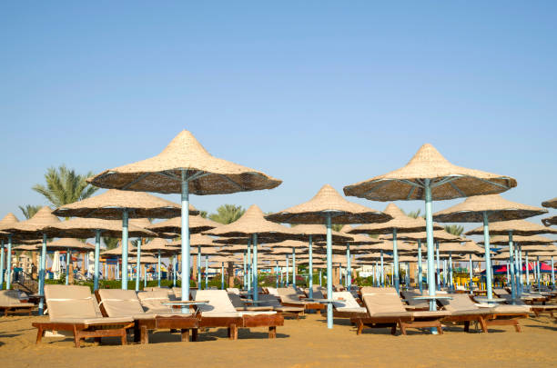 istock Many beach umbrella from wicker and lounge chairs, Hurgada, Egypt 1124819192