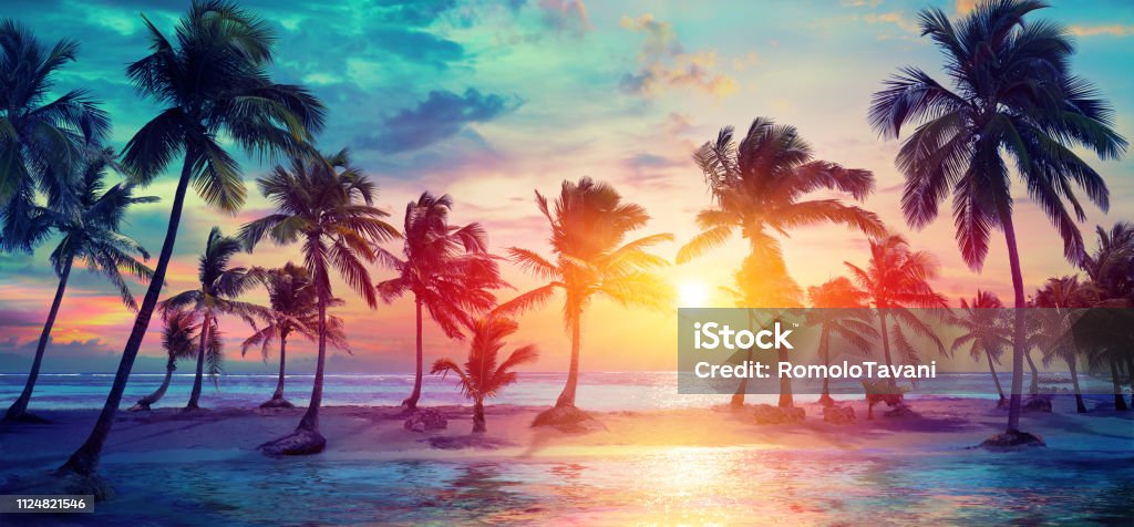 Siluetas en Tropical Playa palmeras al atardecer - modernos colores Vintage - Foto de stock de Playa libre de derechos