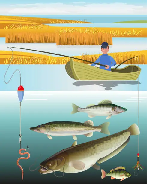 Vector illustration of Man fishing on the boat.