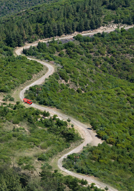 istock Road in the middle of a forest from above 1124832544