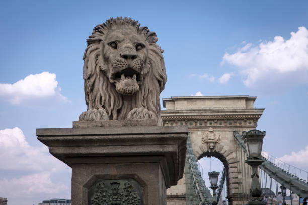 деталь цепного моста шечени - chain bridge budapest bridge lion стоковые фото и изображения