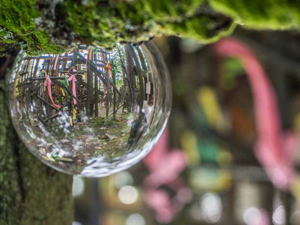 istock Holly crosses  in the glass ball 1124856465