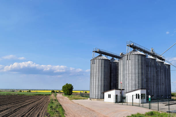istock Silo in northern Serbia 1124863780