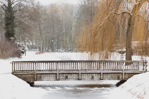 Dedemsvaart Photos Télécharger des images gratuites sur Unsplash