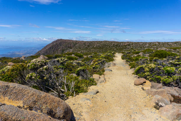 istock Hobart's city view from Wellington mountain 1124877107