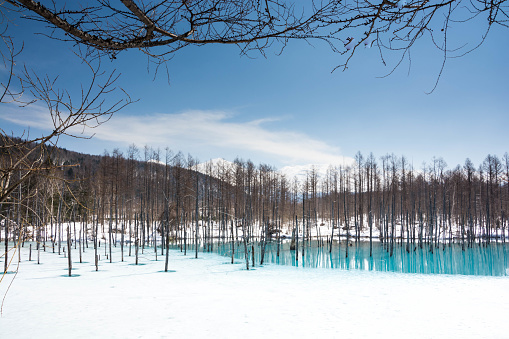 Blue Pond in Biei town where snow began to melt