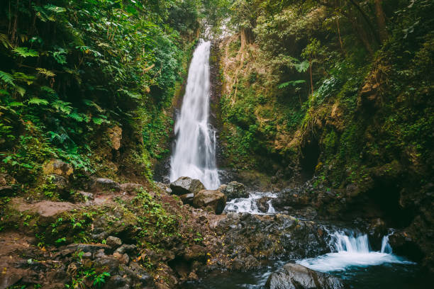 istock Waterfall and river in Bali. Beautiful place for tourism 1124903924
