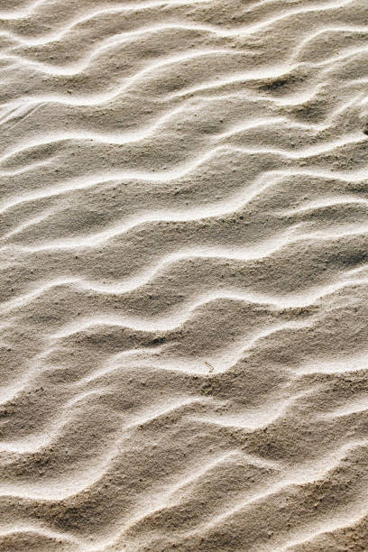 istock Vertical photo of waves in a sand dune 1124907357