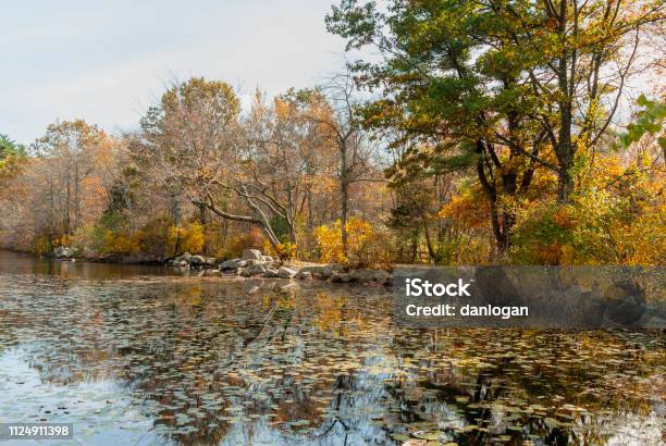 Carriage Road Running Along Pond At Borderland Stock Photo - Download Image Now - Massachusetts, Autumn, Autumn Leaf Color