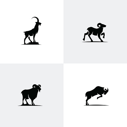 Animal icon vector collection