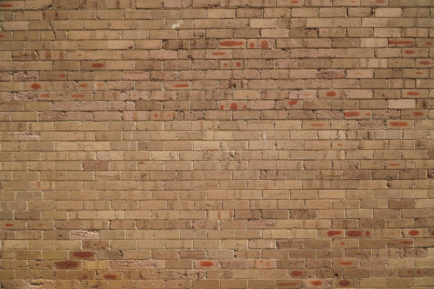 istock Exterior view of generic brick wall 1124913318