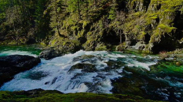 Little North Santiam River Light Northwest Oregon's Cascade Range Foothills.
Willamette National Forest/NW.
Opal Creek Preserve. willamette national forest stock pictures, royalty-free photos & images