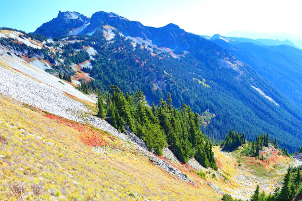 istock Mt. Adams from Mt. Rainier 1124916394