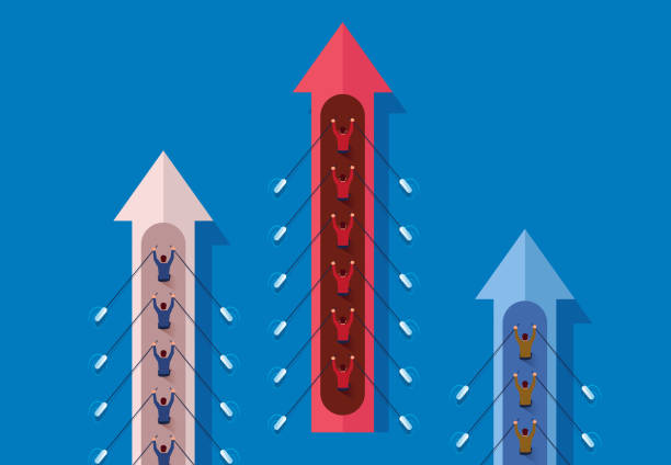 ilustrações de stock, clip art, desenhos animados e ícones de business team conducts rowing competition - campeonato