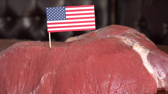 The Beef Industry. Production and international trade